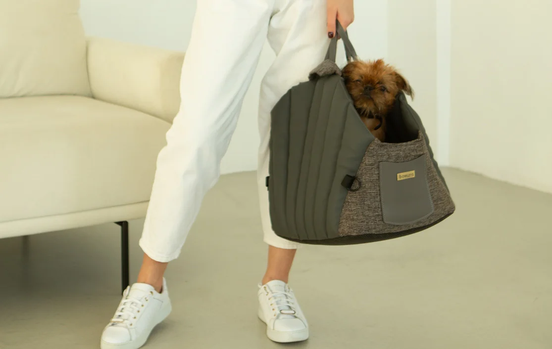 Dog Carrier Purse for Dachshund