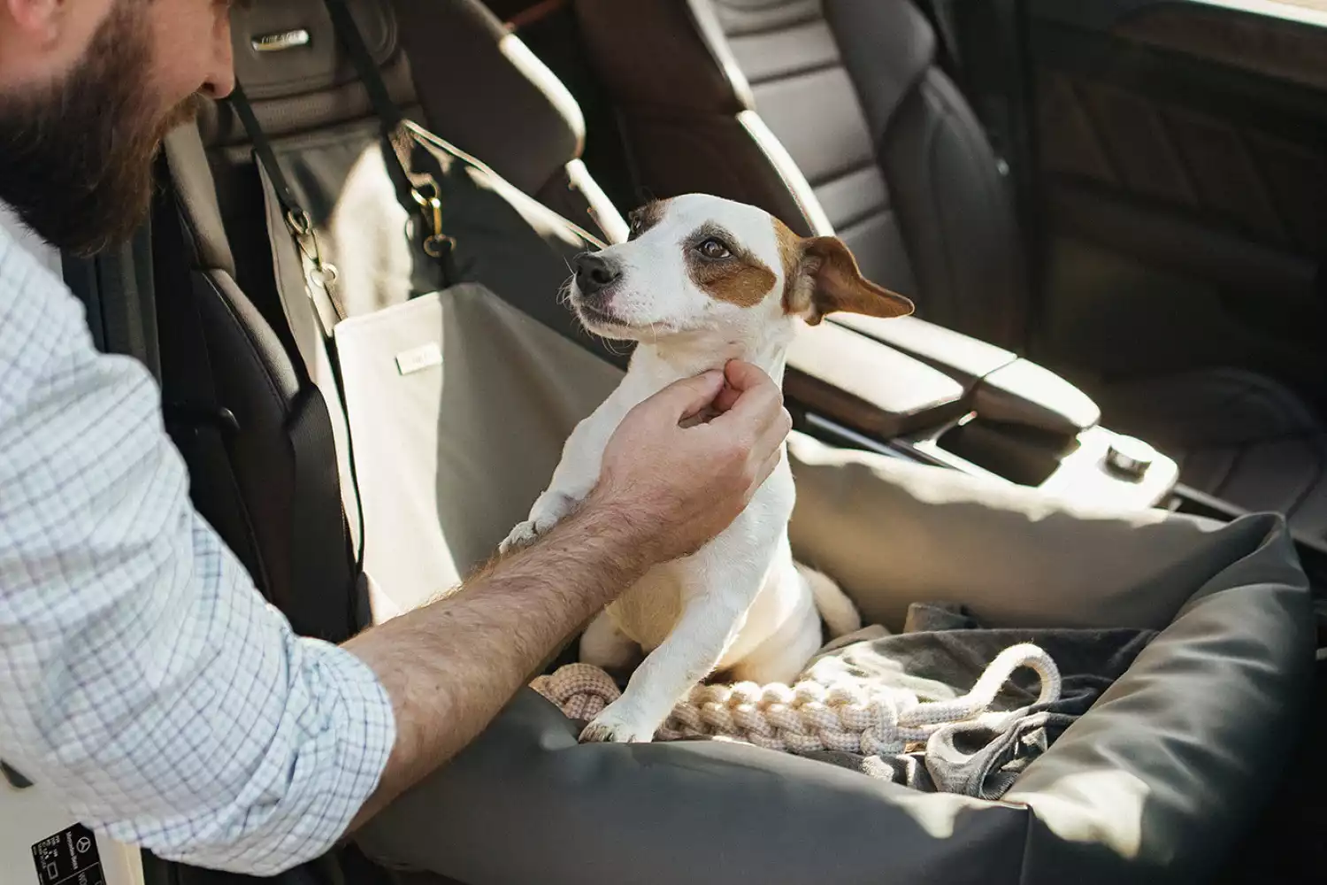 Subaru Ascent Dog Car Seat for Staffordshire Bull Terriers