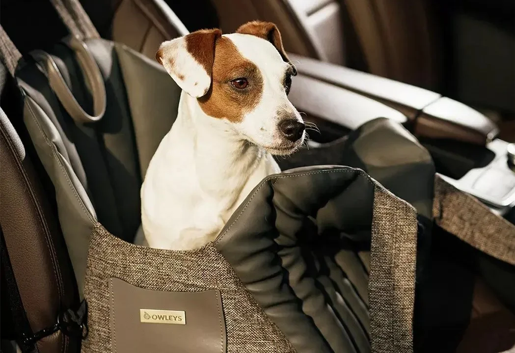 Volkswagen Jetta Dog Carrier Car Seat for Teddy Roosevelt Terrier