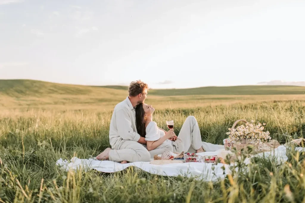 gray picnic blanket