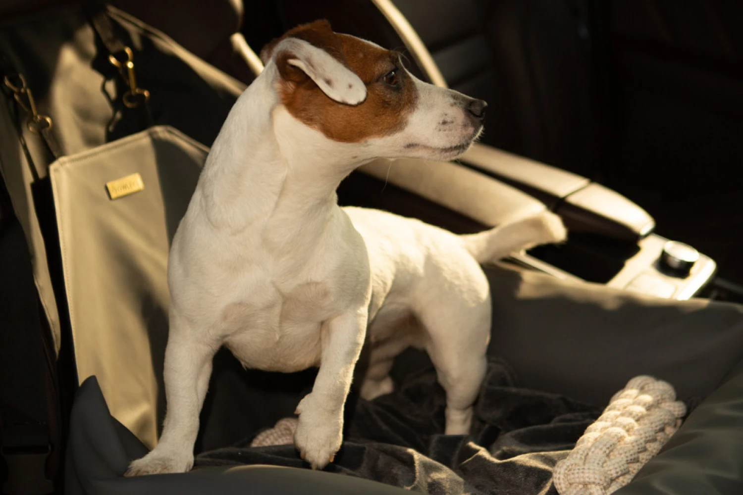 Subaru Ascent Dog Car Seat for Staffordshire Bull Terriers