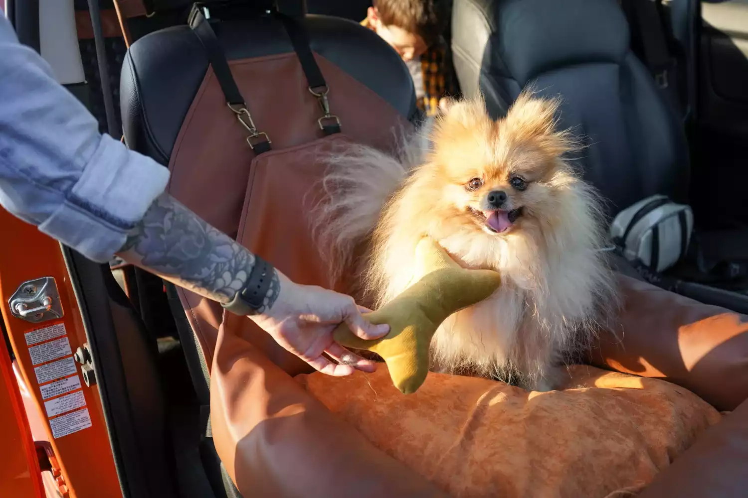 Boston Terriers Dog Car Seat for Chevrolet Camaro