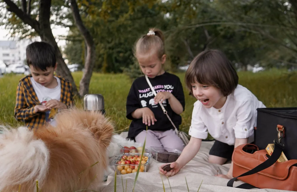 waterproof roll-up picnic blanket