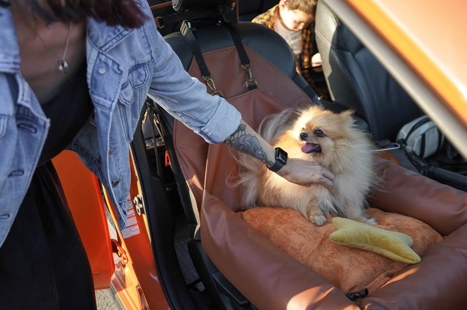 Norfolk Terriers Dog Car Seat for Subaru Ascent